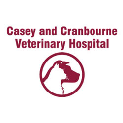 Casey Cranbourne Vet