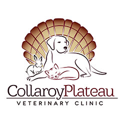 Collaroy Plateau Vet Clinic