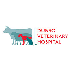 Dubbo Veterinary Hospital