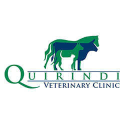 Quirindi Veterinary Clinic