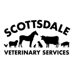 Scottsdale Veterinary Services