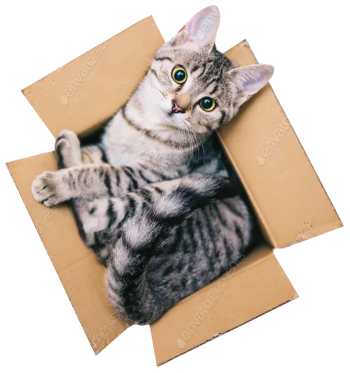 Cat-In-Box Cat-In-Box