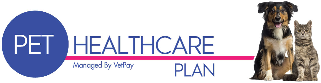 Health-Care-Header