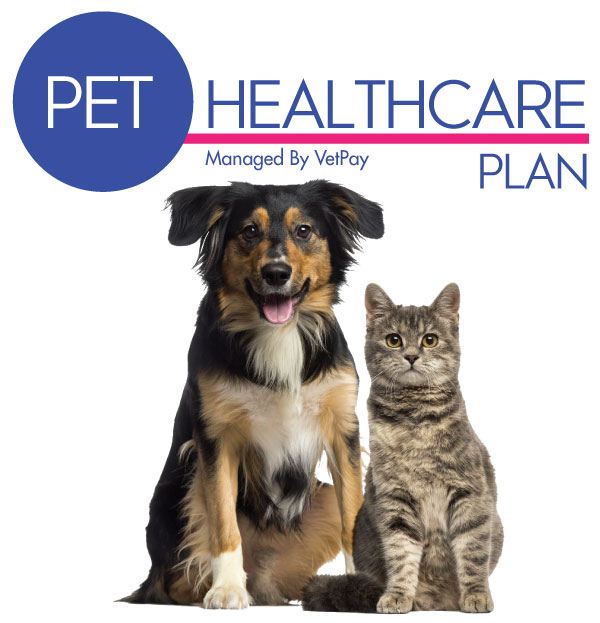 Health-Care-Image