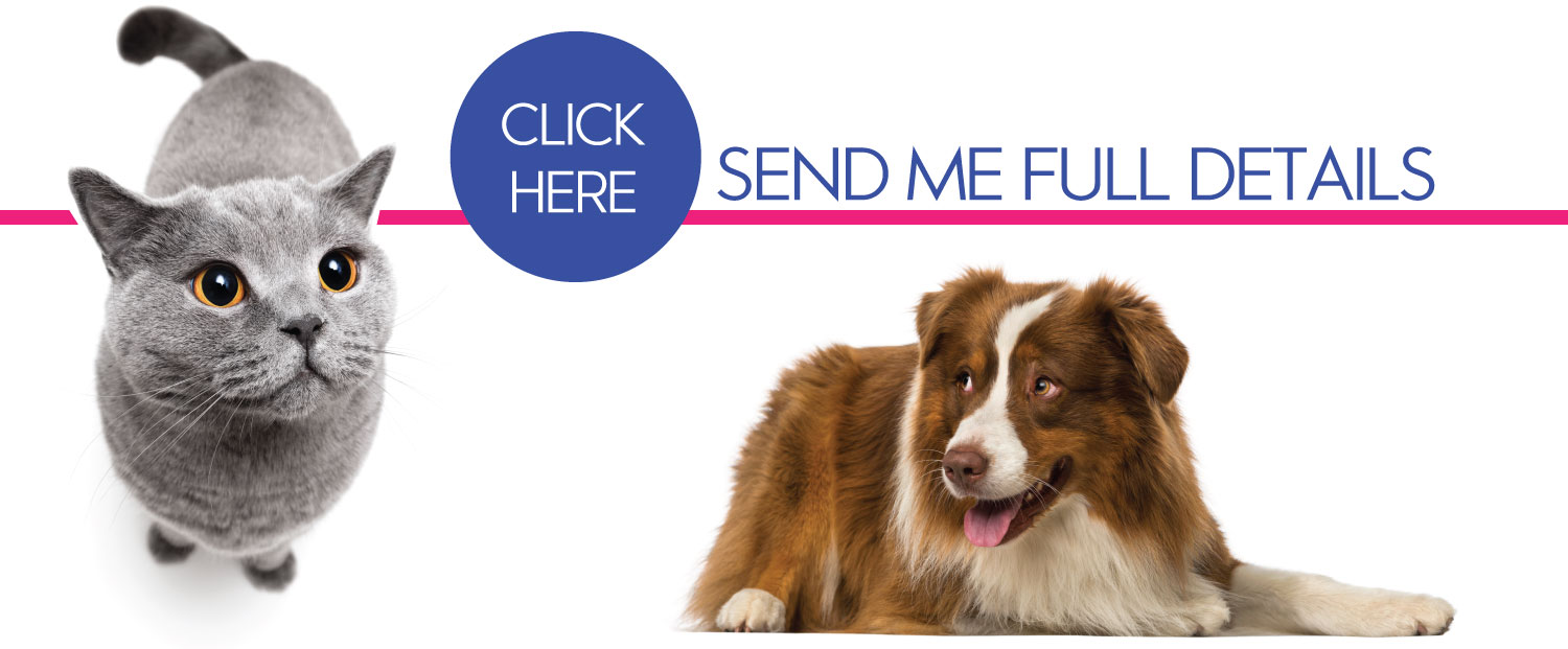 Send-Me-Full-Details