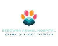 FullLogo_Transparent